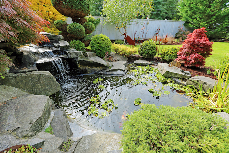 How to Create a Beautiful Waterproof Pond - Projex