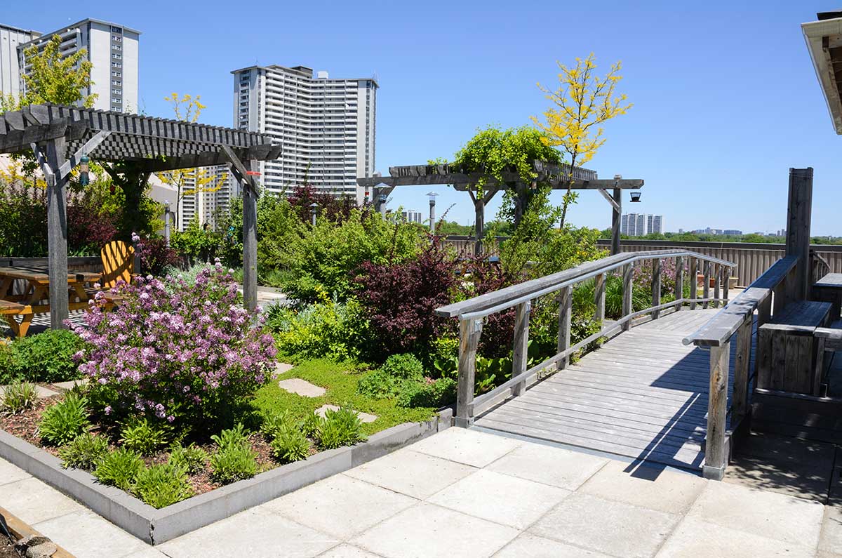 How To Build A Rooftop Garden Green Lawn Cares
