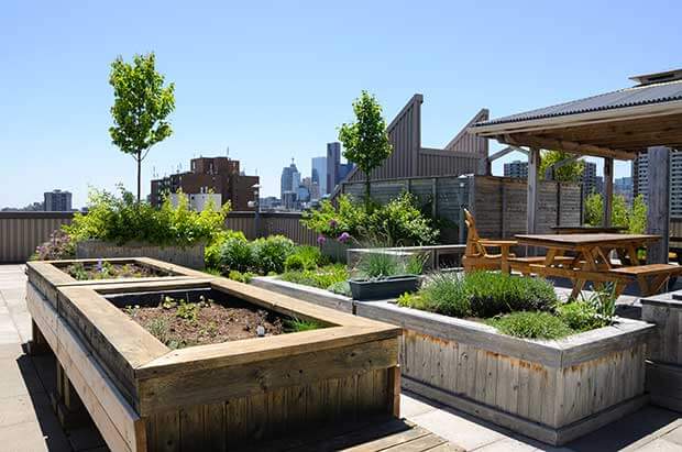 Rooftop Garden - Gardening Australia