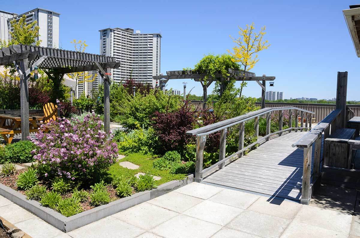 How Much Weight Can A Rooftop Garden Hold?