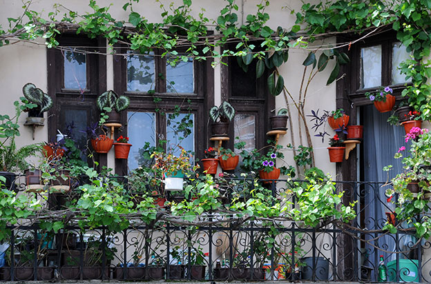 8 Tips For Turning Your Balcony Into A Lush Garden Paradise