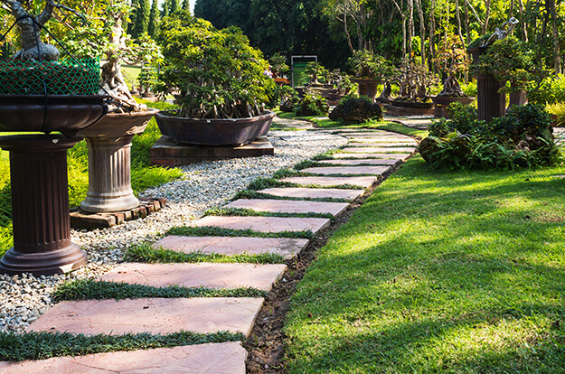 11 Landscaping Trends