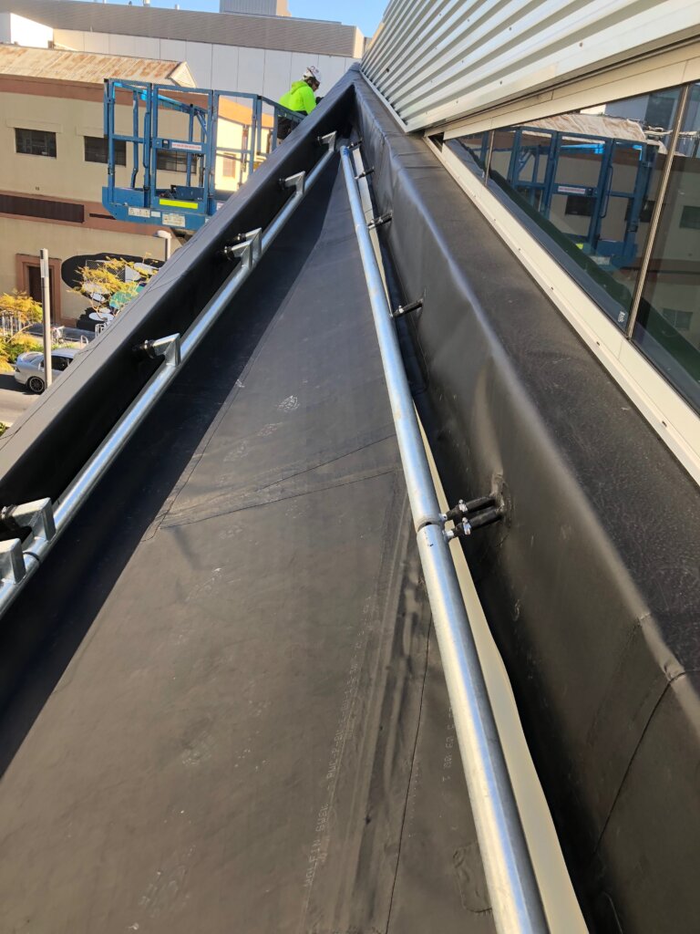 Wolfin Installation in Adelaide South Australia